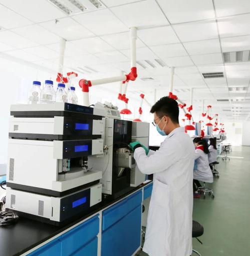 内蒙古食品质量安全检验检测科学研究院 科技赋能食品安全新篇章