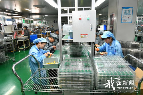 盐城焕新记 走进金驿通光电科技，技术服务引领产业升级